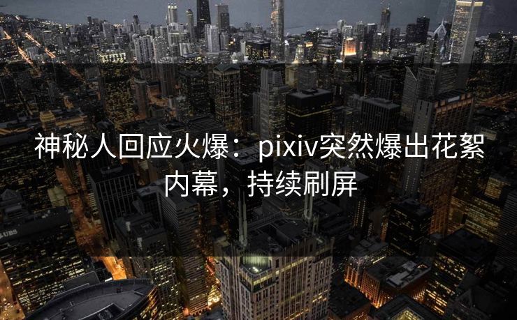 神秘人回应火爆：pixiv突然爆出花絮内幕，持续刷屏