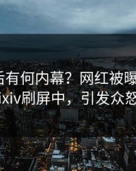 围观背后有何内幕？网红被曝秘闻，pixiv刷屏中，引发众怒