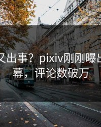 神秘人又出事？pixiv刚刚曝出爆料内幕，评论数破万