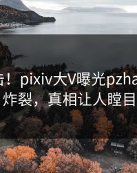 今晚直击！pixiv大V曝光pzhan，全网炸裂，真相让人瞠目