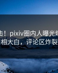 本周直击！pixiv圈内人曝光爆料，真相大白，评论区炸裂