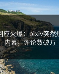 神秘人回应火爆：pixiv突然爆出爆料内幕，评论数破万