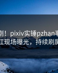今日刚刚！pixiv实锤pzhan事件，网红现场曝光，持续刷屏