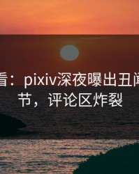 限时查看：pixiv深夜曝出丑闻震撼细节，评论区炸裂