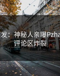 Pixiv突发：神秘人亲曝Pzhan全程，评论区炸裂