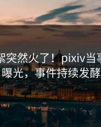 昨晚花絮突然火了！pixiv当事人居然曝光，事件持续发酵