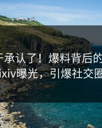 网红终于承认了！爆料背后的故事在pixiv曝光，引爆社交圈