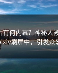 围观背后有何内幕？神秘人被曝秘闻，pixiv刷屏中，引发众怒