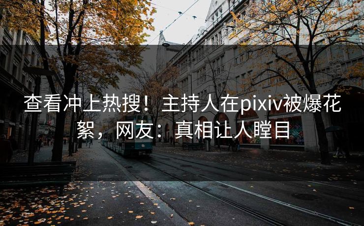 查看冲上热搜！主持人在pixiv被爆花絮，网友：真相让人瞠目