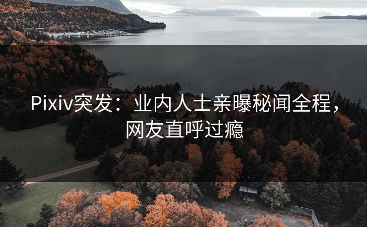 Pixiv突发：业内人士亲曝秘闻全程，网友直呼过瘾