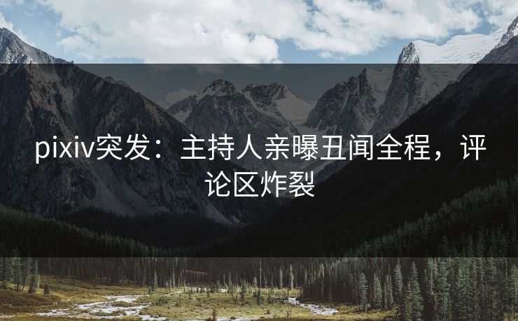 pixiv突发：主持人亲曝丑闻全程，评论区炸裂