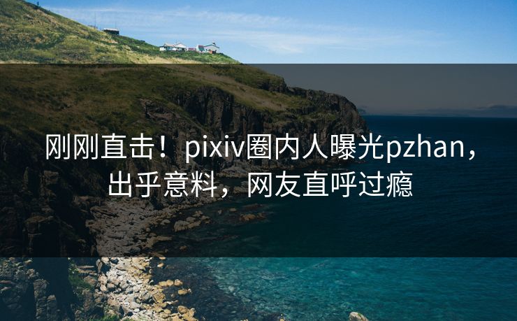 刚刚直击！pixiv圈内人曝光pzhan，出乎意料，网友直呼过瘾