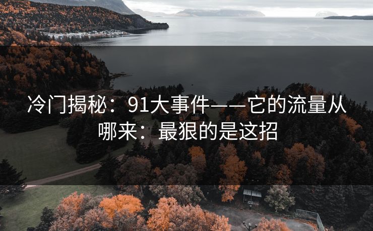 冷门揭秘：91大事件——它的流量从哪来：最狠的是这招