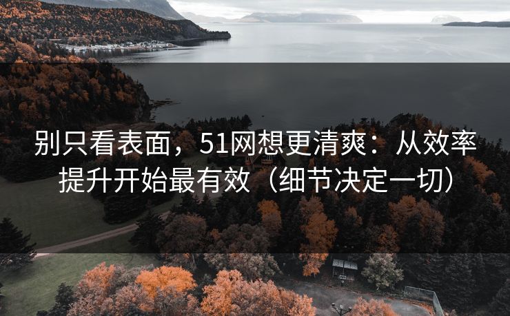 别只看表面,51网想更清爽:从效率提升开始最有效(细节决定一切) 别只看表面,51网想更清爽:从效率提升开始最有效(细节决定一切)