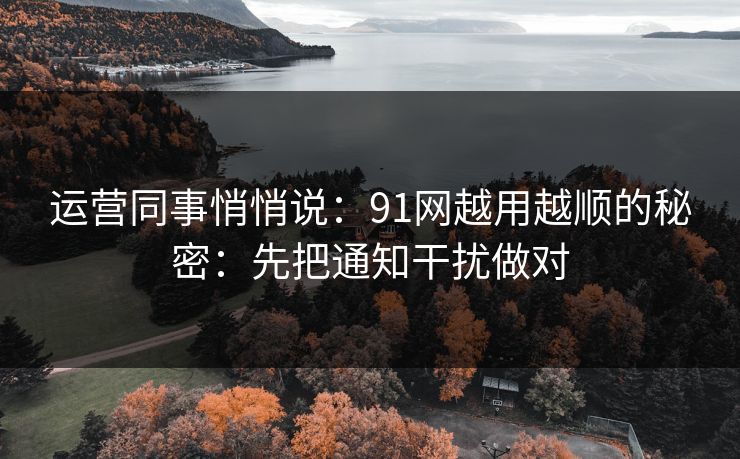 运营同事悄悄说:91网越用越顺的秘密:先把通知干扰做对 运营同事悄悄说:91网越用越顺的秘密:先把通知干扰做对